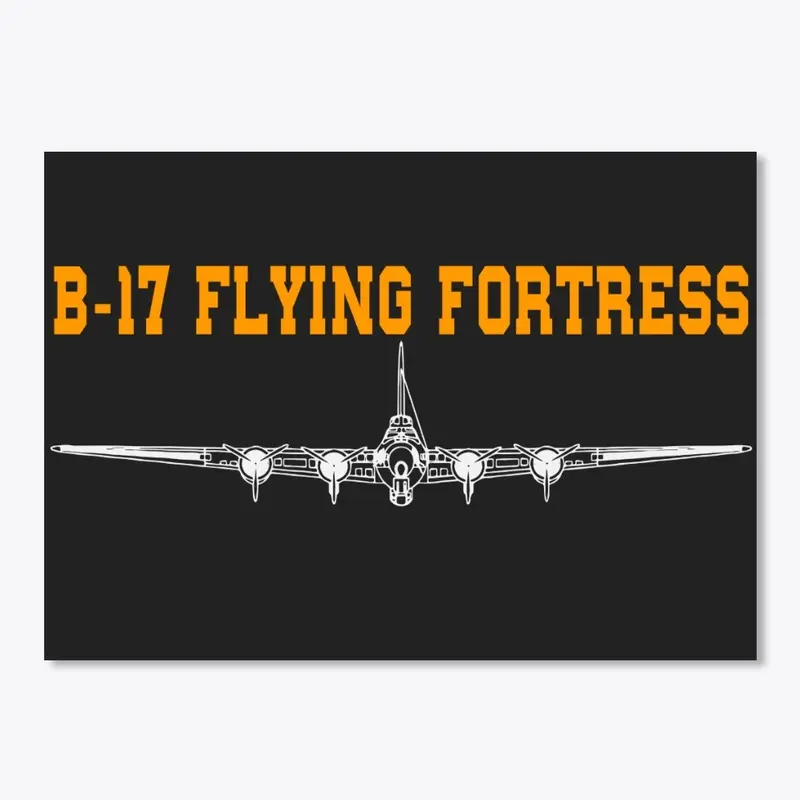 B-17 Flying Fortress - The Front